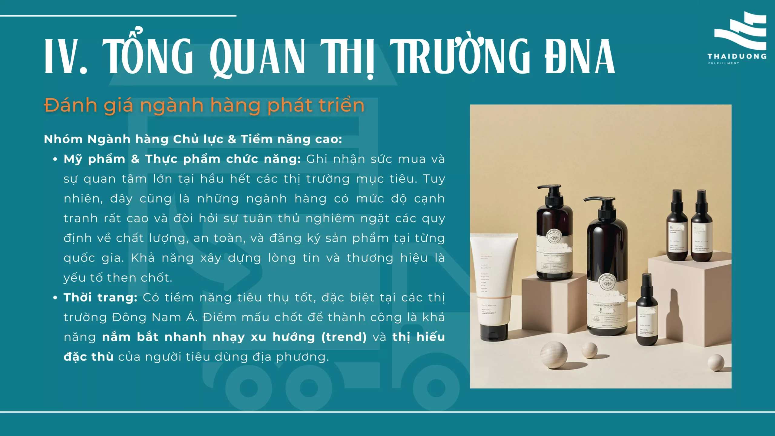 Hồ sơ năng lực TDF-images-8